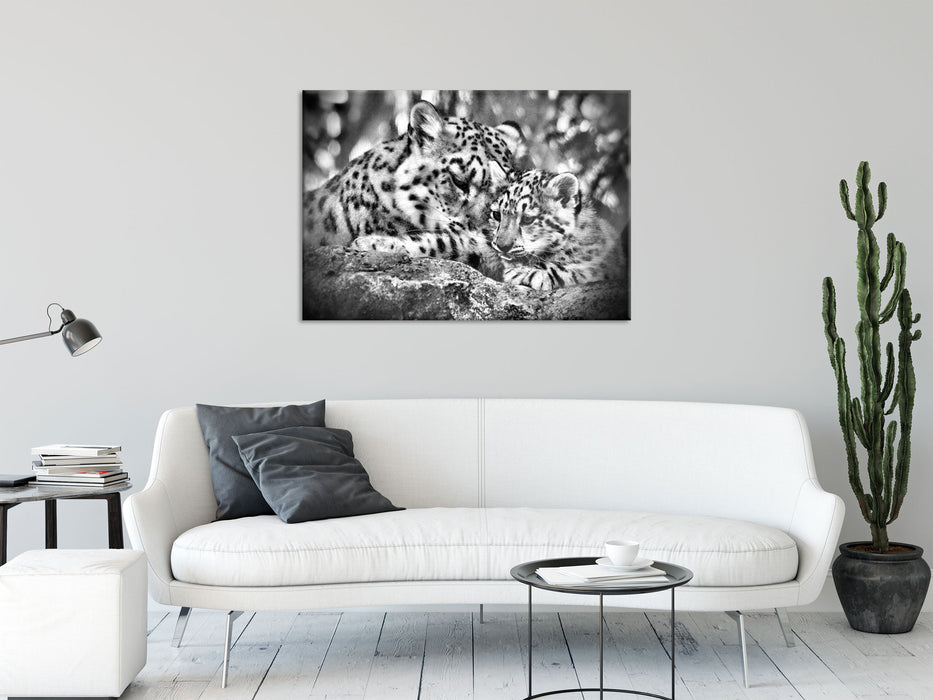 Leopard mit Jungtier, Glasbild