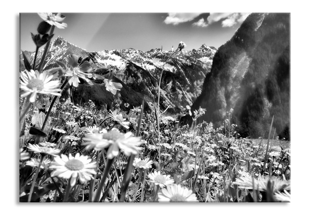 Pixxprint Wunderschöne Blumen Alpenwiese, Glasbild