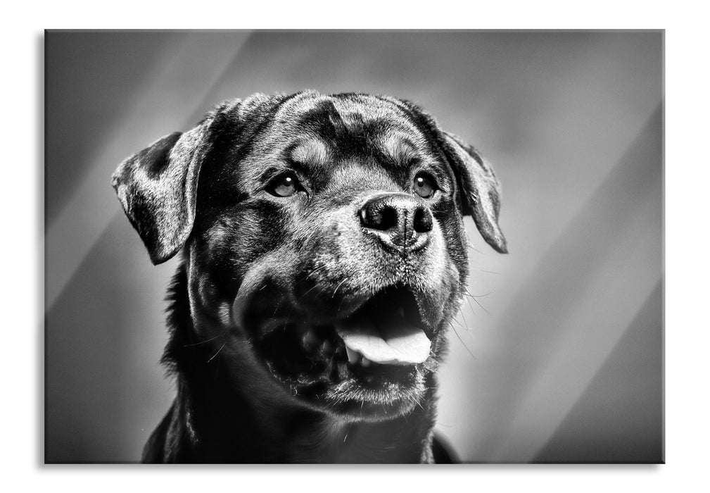 Pixxprint Treuer Rottweiler, Glasbild