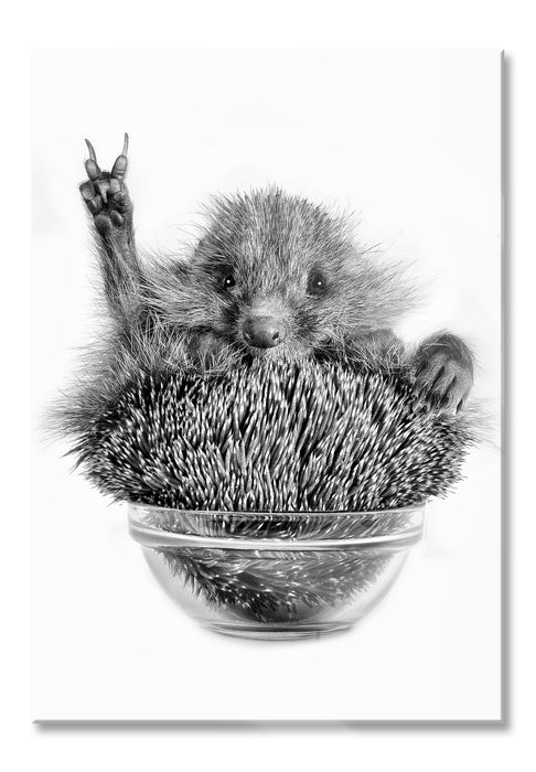 Pixxprint Igel in einer Schüssel Peace, Glasbild