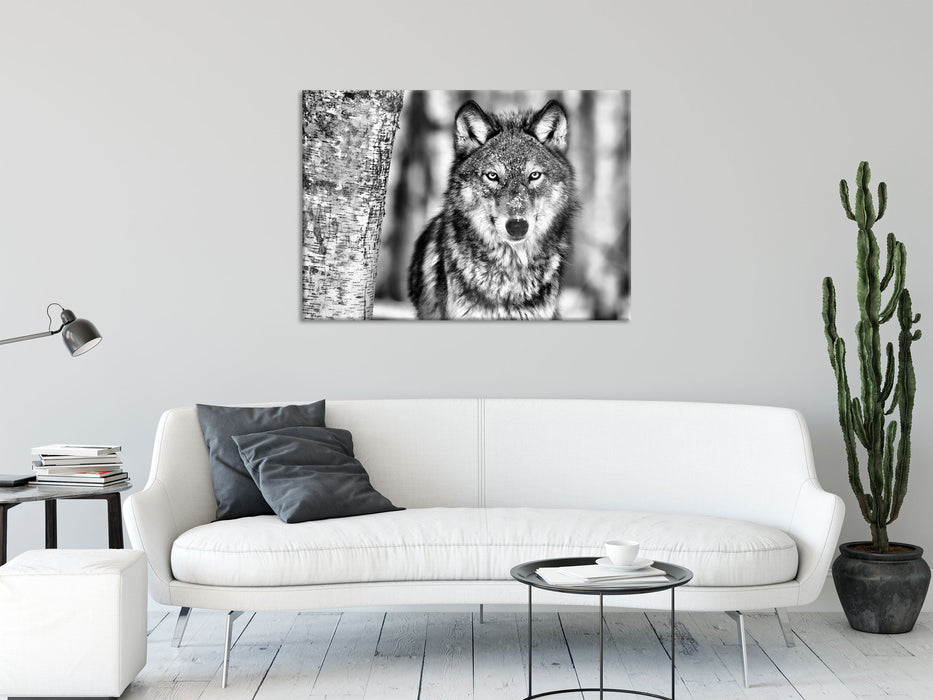 Wachsamer Wolf, Glasbild