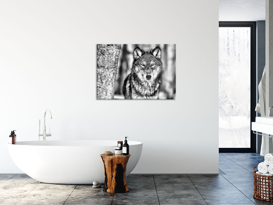 Wachsamer Wolf, Glasbild