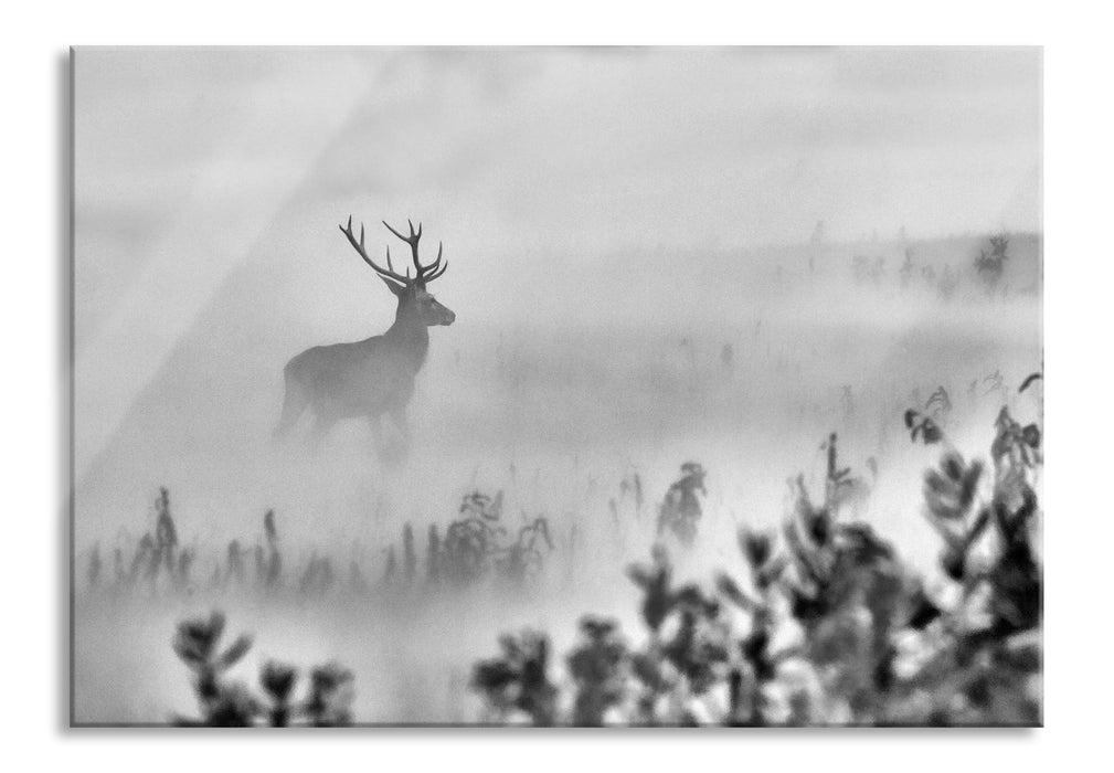 Pixxprint Hirsch im Nebel, Glasbild