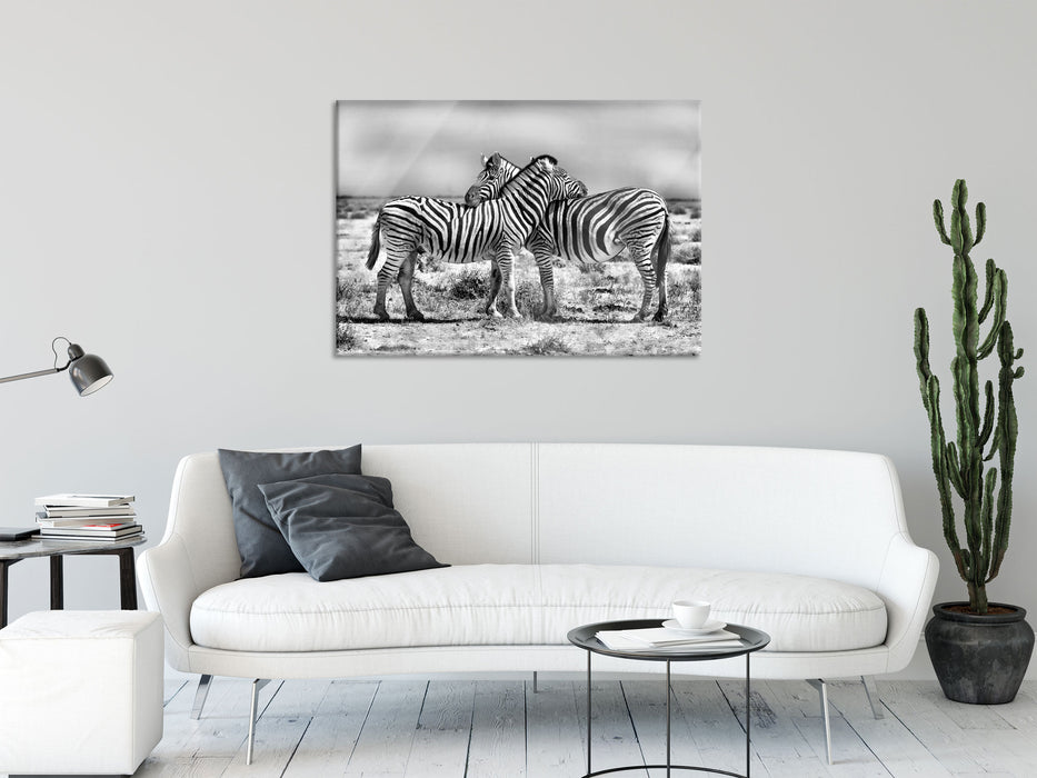 Schmusende Zebras, Glasbild