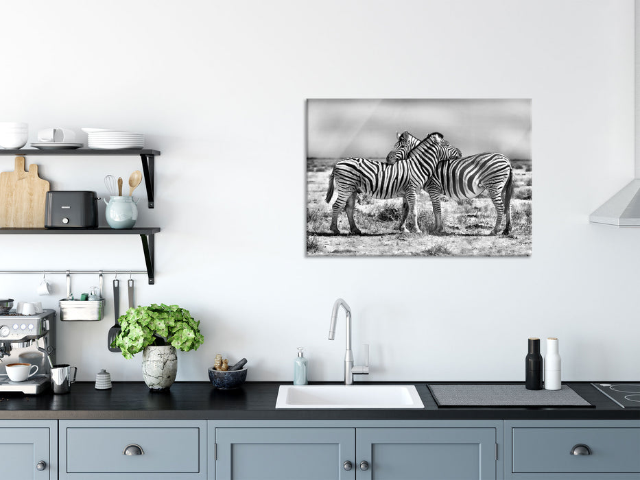 Schmusende Zebras, Glasbild