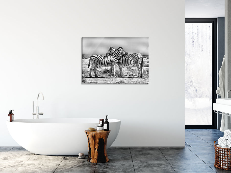 Schmusende Zebras, Glasbild