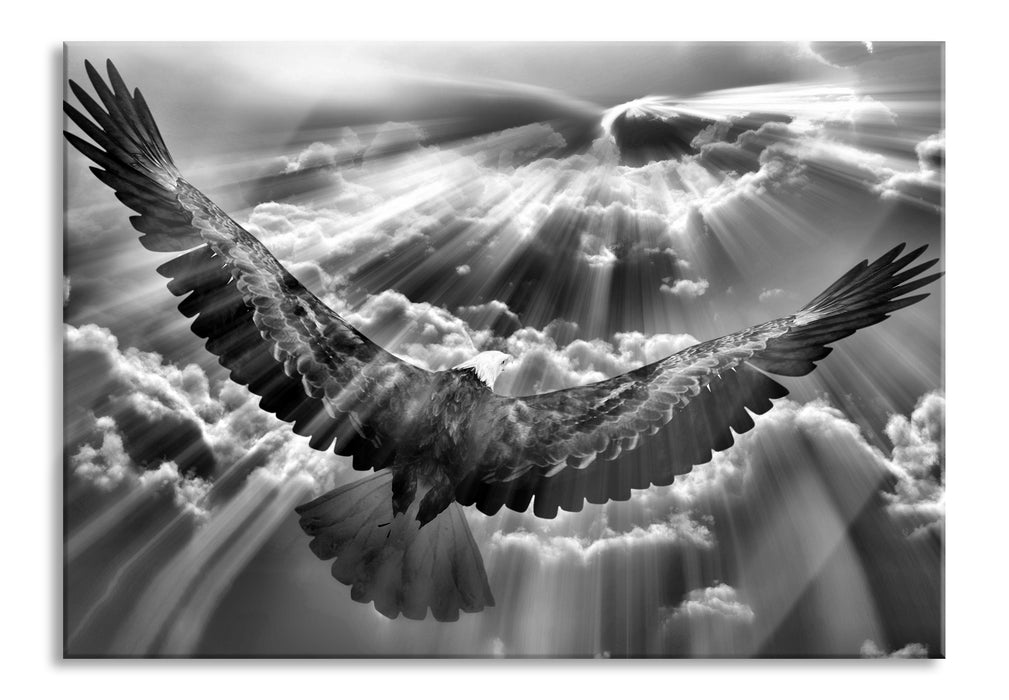 Pixxprint Adler über den Wolken, Glasbild