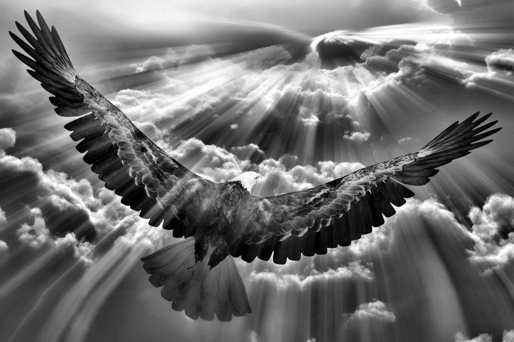 Adler über den Wolken, Glasbild