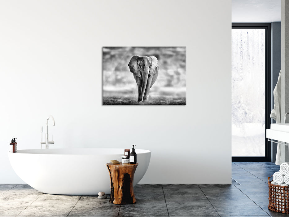 Einsamer Elefant Schwarz-Weiss, Glasbild