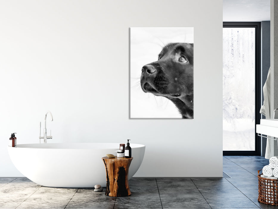 Schwarzer Labrador im Schnee, Glasbild