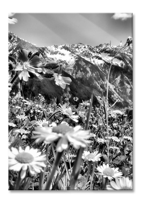 Wunderschöne Blumen Alpenwiese, Glasbild