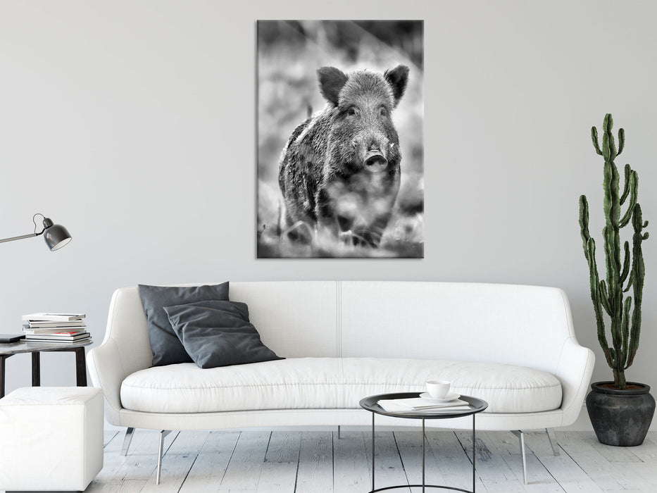 Wildschwein auf Wiese, Glasbild