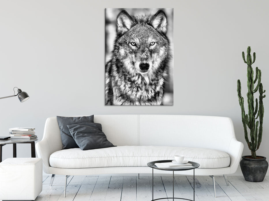 Wachsamer Wolf, Glasbild