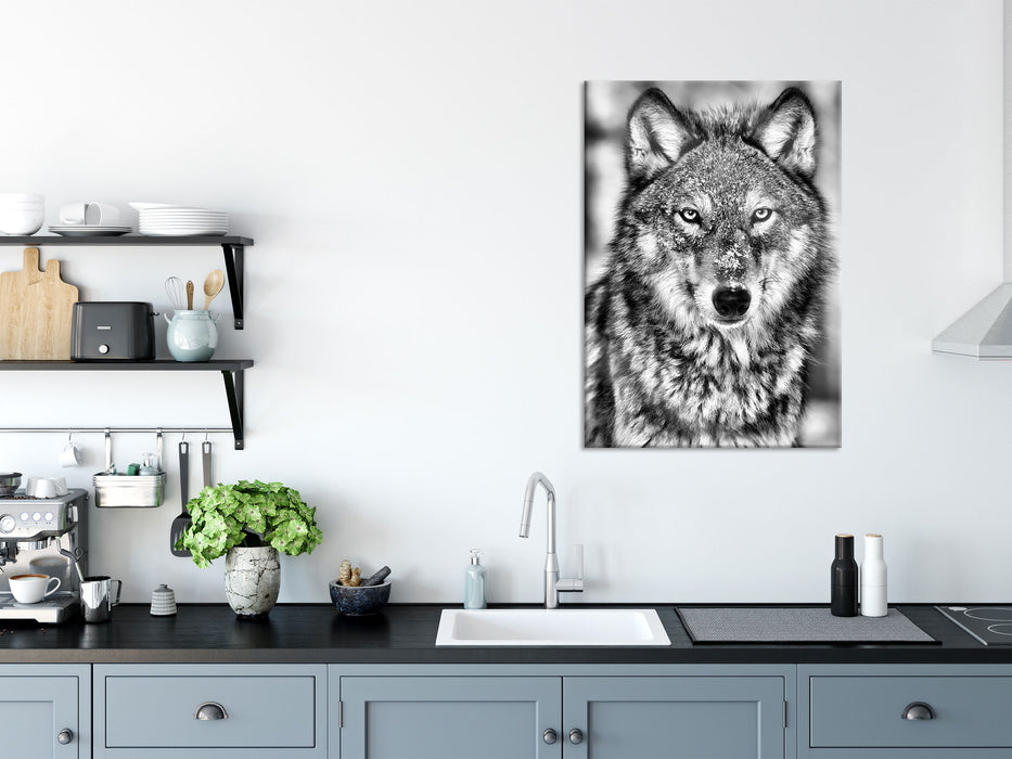 Wachsamer Wolf, Glasbild