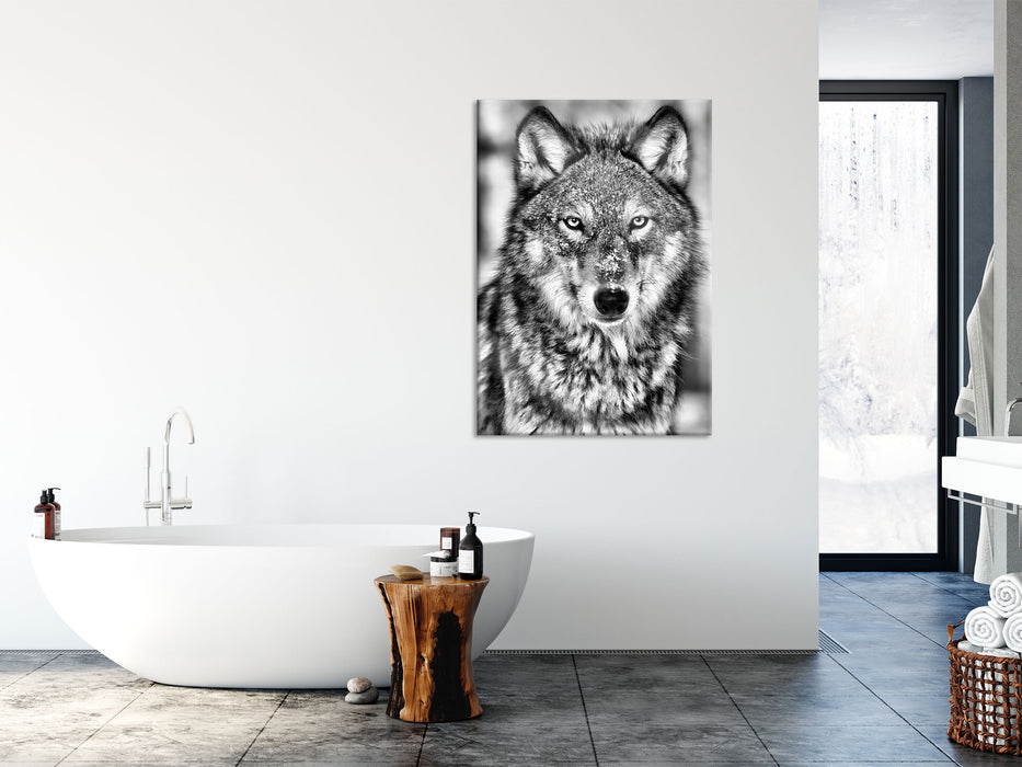 Wachsamer Wolf, Glasbild