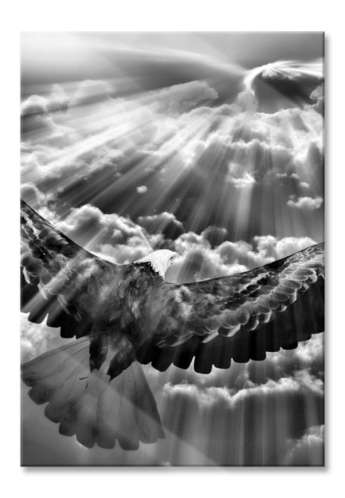 Pixxprint Adler über den Wolken, Glasbild
