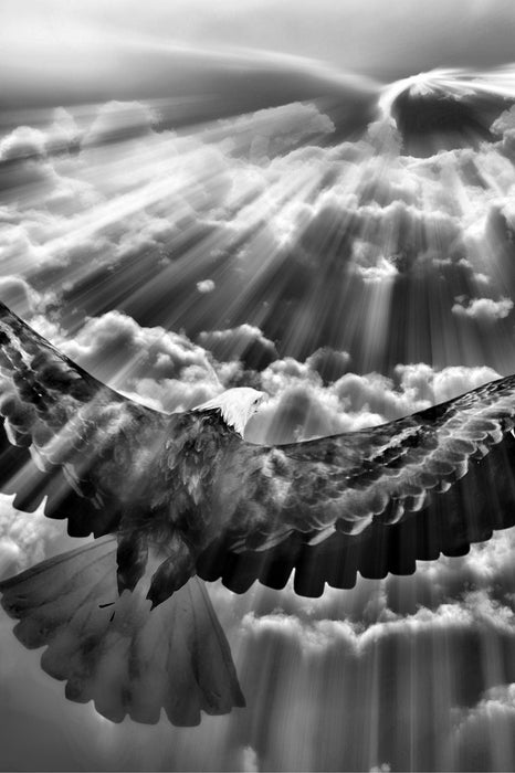 Adler über den Wolken, Glasbild
