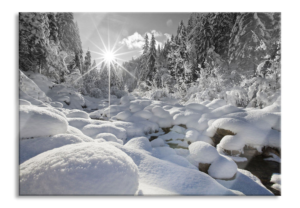 Pixxprint Sonnenstrahlen Wald, Glasbild