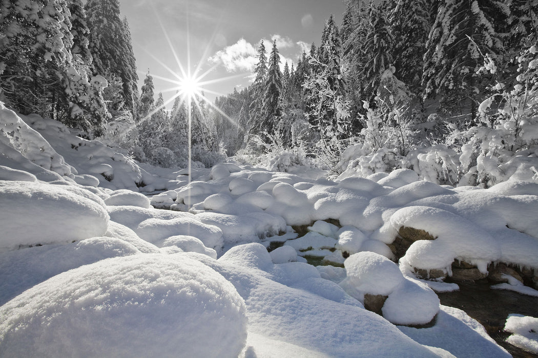 Sonnenstrahlen Wald, Glasbild