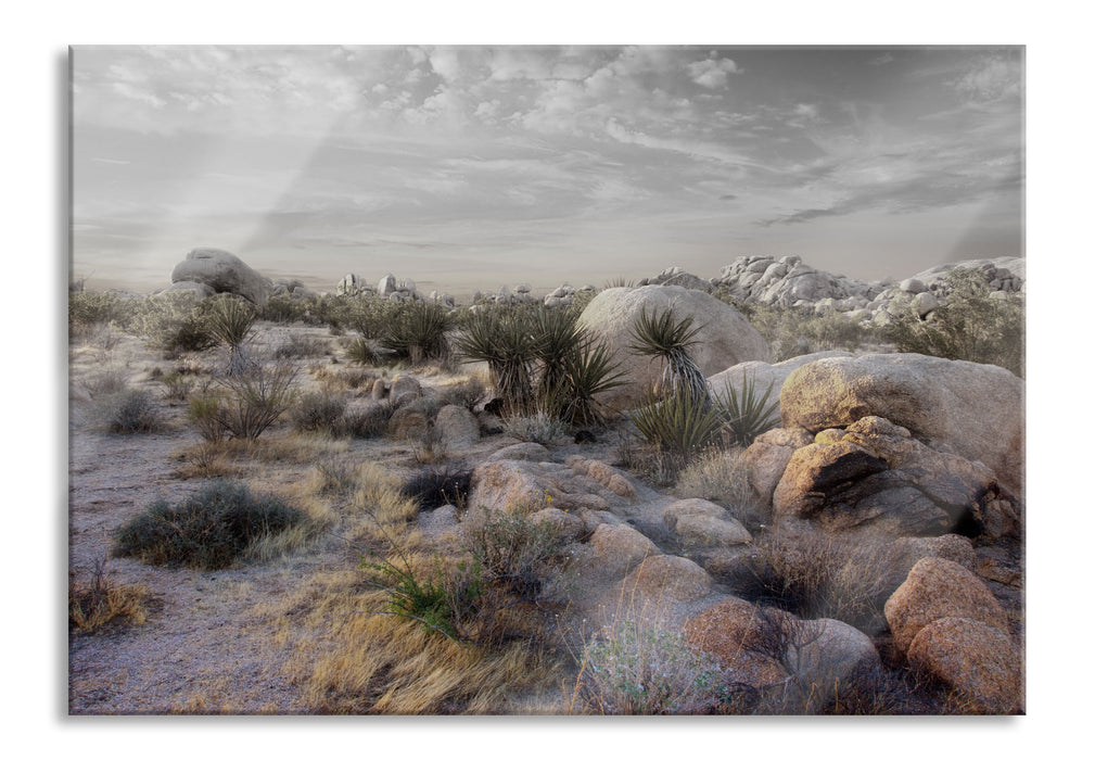 Joshua Wüste im Sonnenuntergang, Glasbild