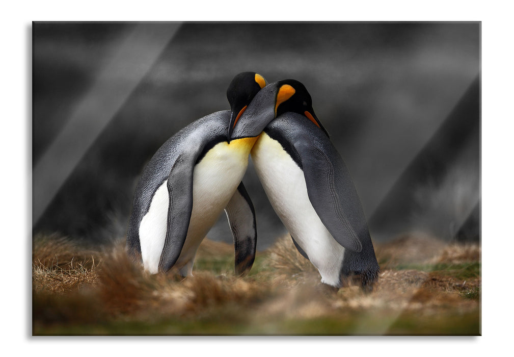 Pixxprint Pinguine in der Antarktis, Glasbild