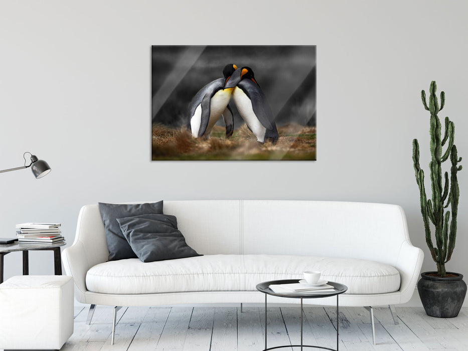 Pinguine in der Antarktis, Glasbild