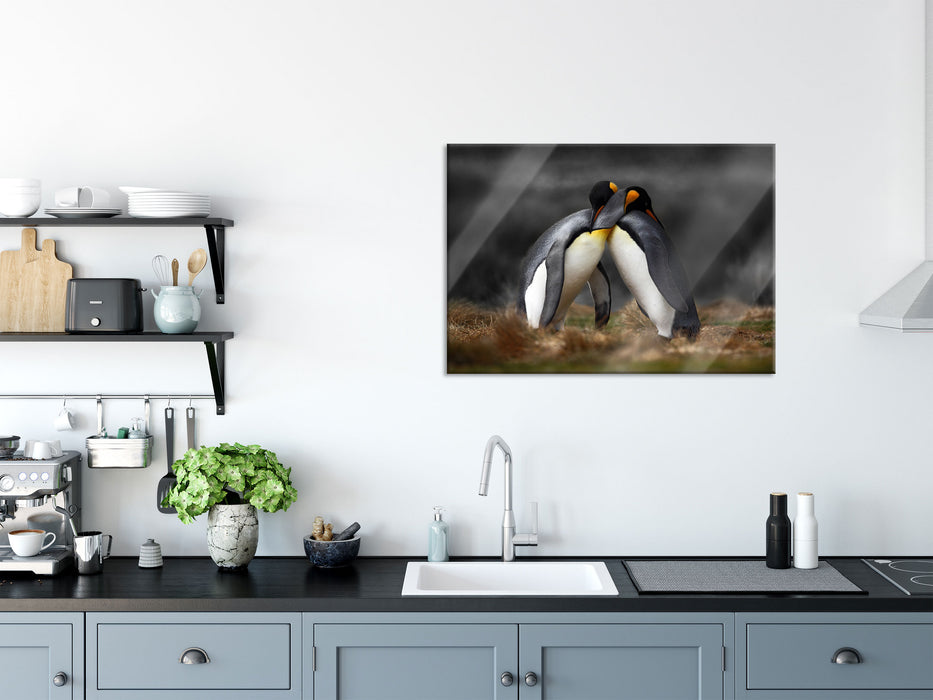 Pinguine in der Antarktis, Glasbild