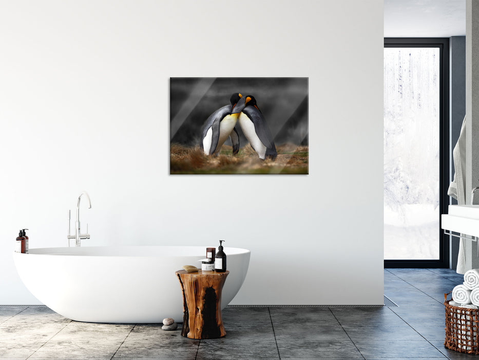 Pinguine in der Antarktis, Glasbild