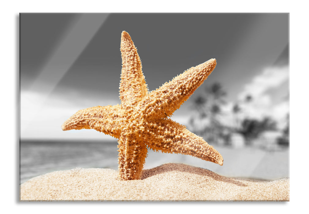 Pixxprint Seestern Sandstrand, Glasbild