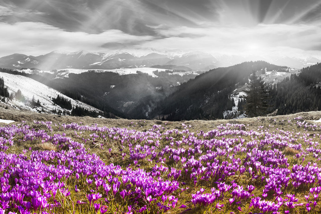 Berglandschaft Regenbogen, Glasbild