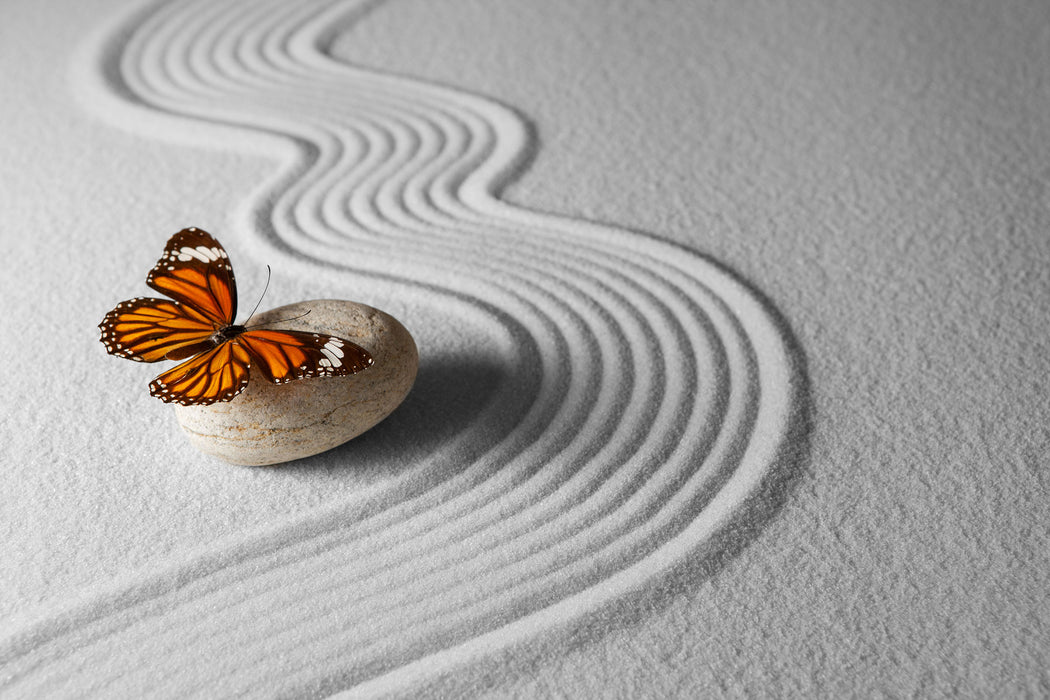 Zen Schmetterling, Glasbild