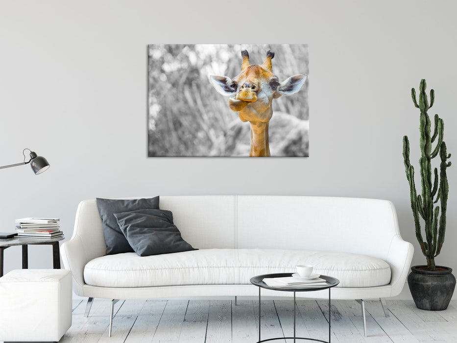 Giraffe in der Natur, Glasbild