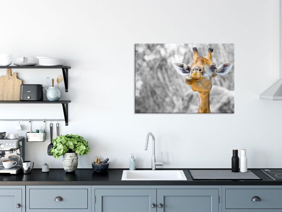 Giraffe in der Natur, Glasbild