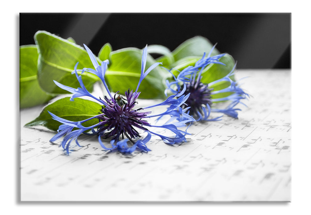 Notenblatt mit Kornblume, Glasbild