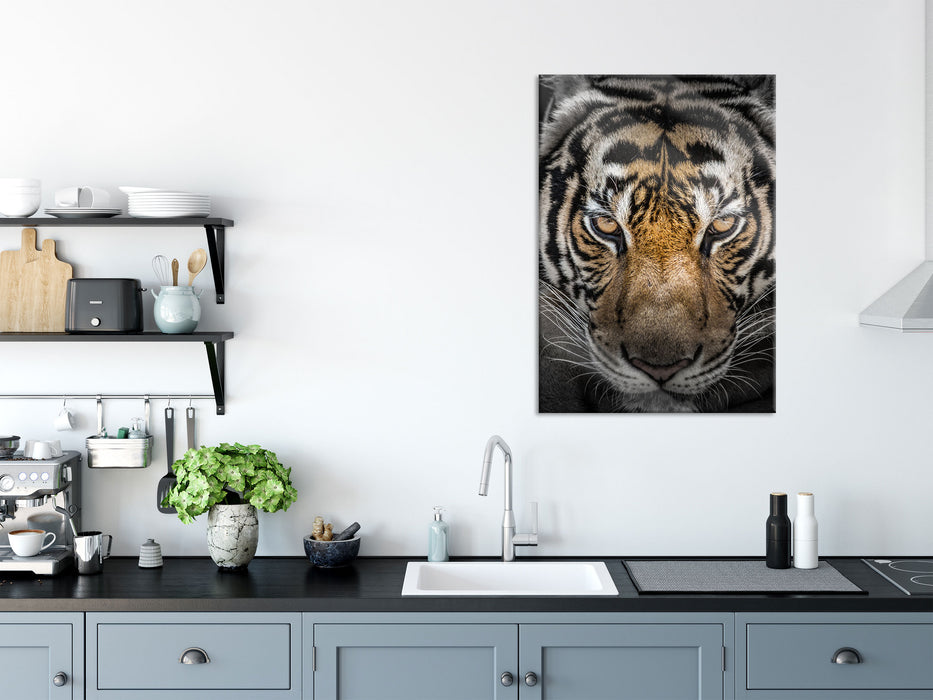 Tiger mit hellbraunen Augen, Glasbild