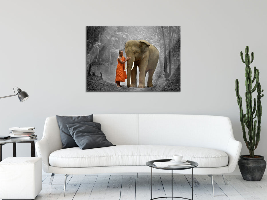 wunderschöner Elefant mit Mönch, Glasbild