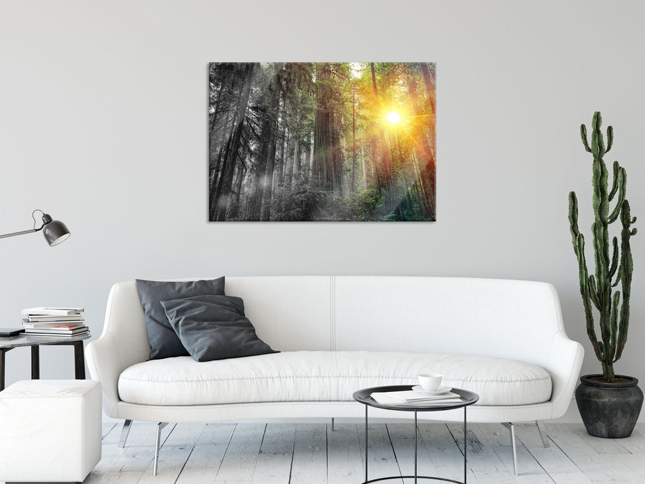 Wald bei Sonnenlicht, Glasbild