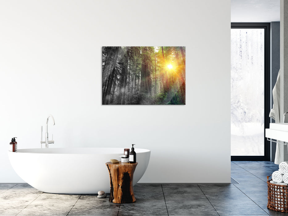 Wald bei Sonnenlicht, Glasbild