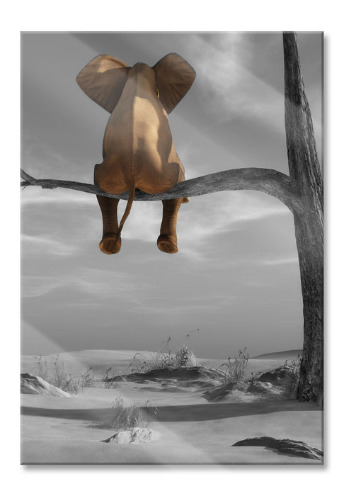 Pixxprint Elefant auf einem Ast in der Wüste, Glasbild