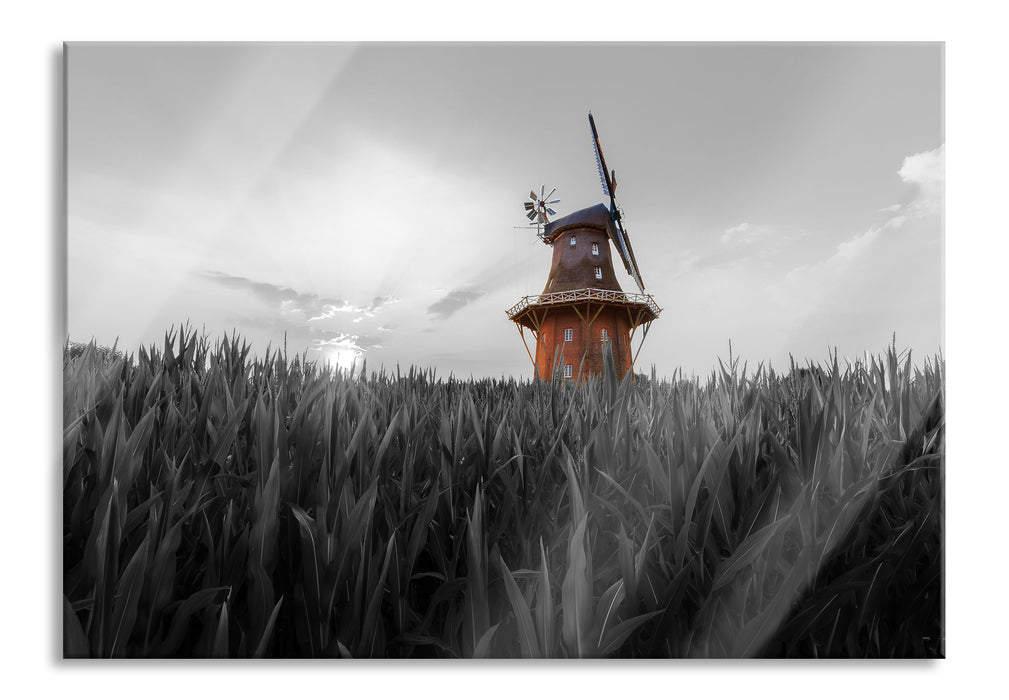 schöne Windmühle auf dem Feld, Glasbild