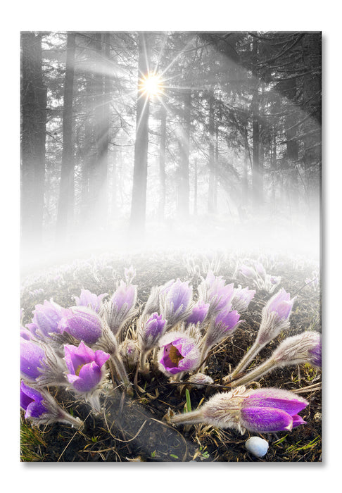 Pixxprint blühende Blumen im Wald, Glasbild