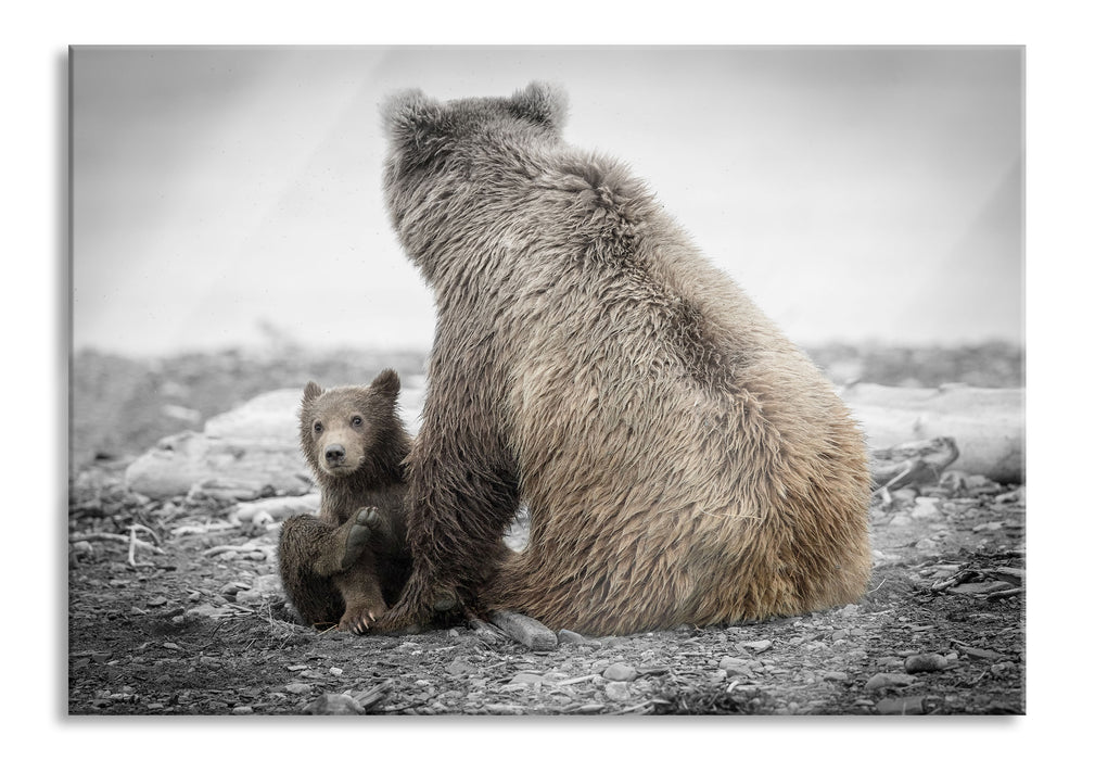 Bär mit Baby nach dem Baden, Glasbild