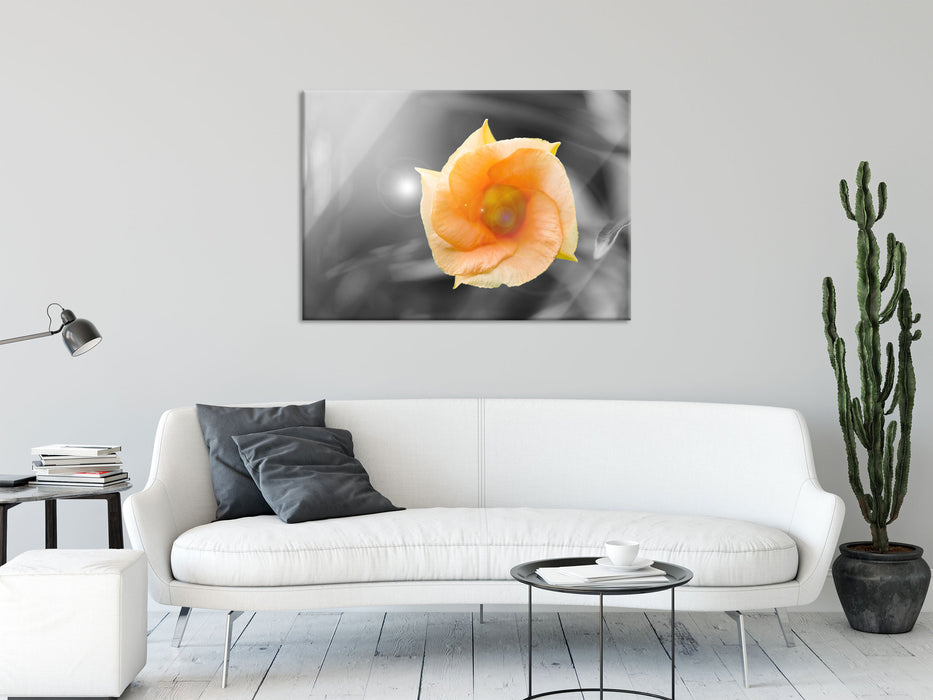 orange Blume im Sonnenlicht, Glasbild