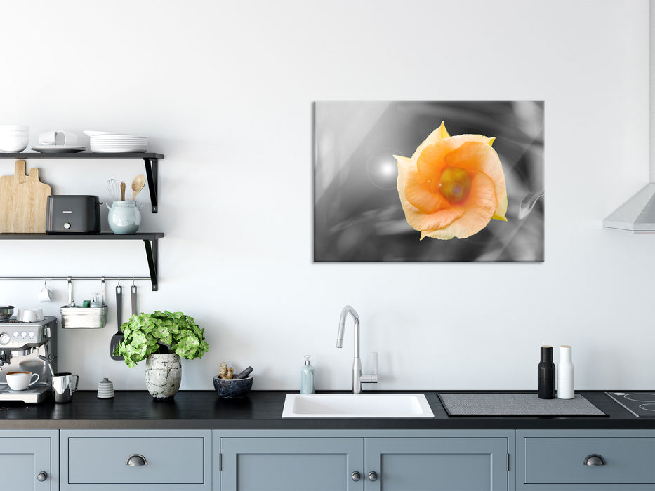 orange Blume im Sonnenlicht, Glasbild