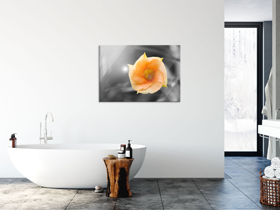 orange Blume im Sonnenlicht, Glasbild