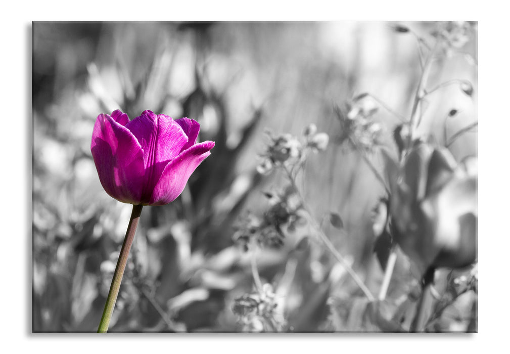 Blumen im Sonnenschein, Glasbild