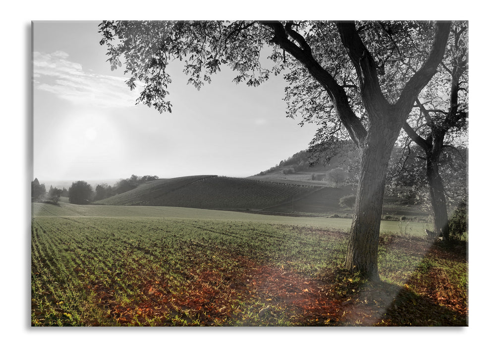 Landschaft im Herbst, Glasbild