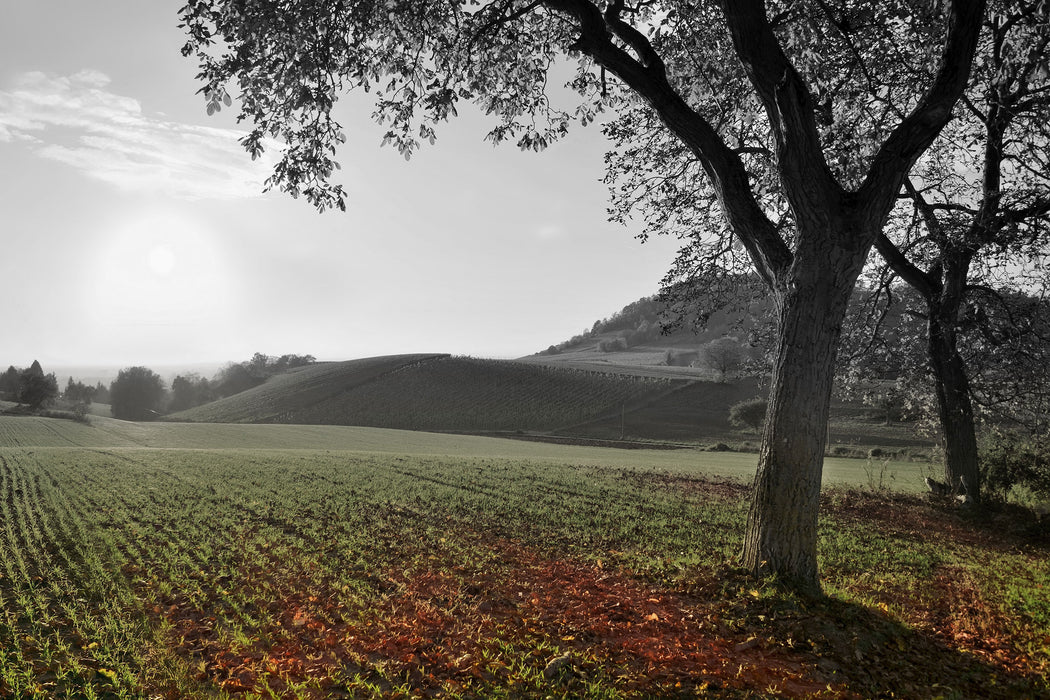 Landschaft im Herbst, Glasbild