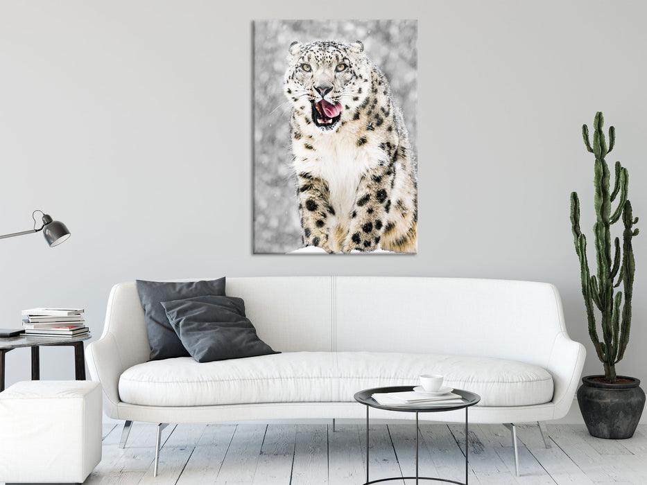 Leopard im Schnee, Glasbild