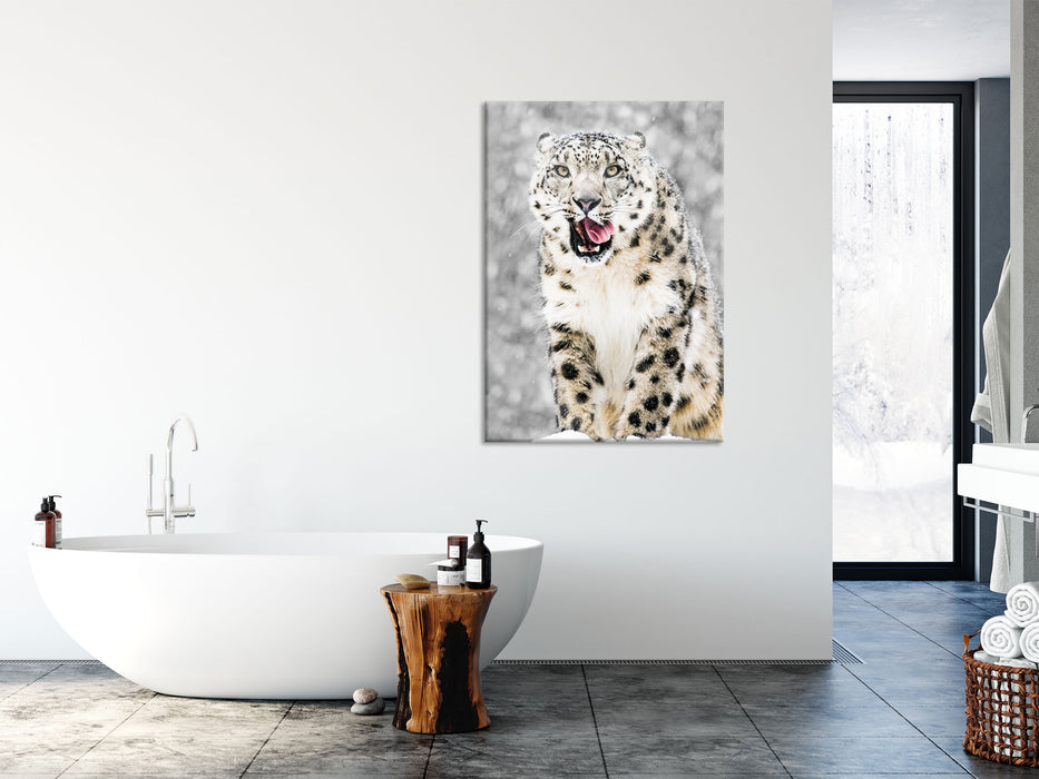 Leopard im Schnee, Glasbild